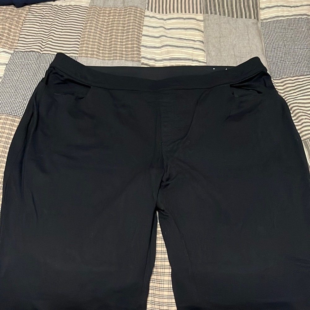 Lane Bryant Trousers
